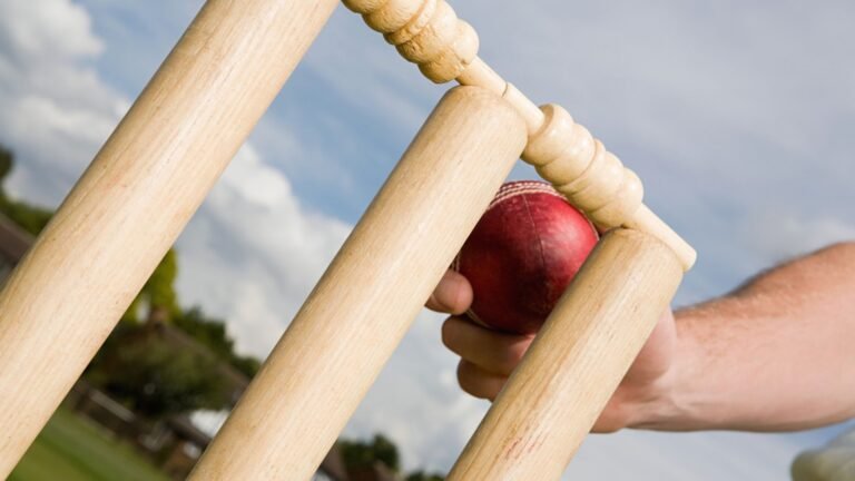 How Dream11 Team Generators Use AI for Fantasy Picks